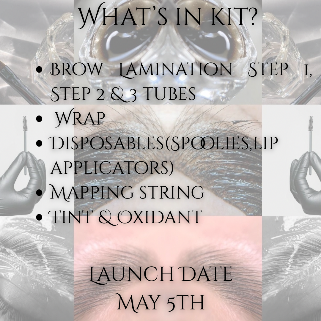 Pre Sale Brow Lamination & Tint Online Training(adding will be ready June 23)