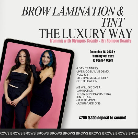 Brow Lamination & Tint + Learn the Luxury Way