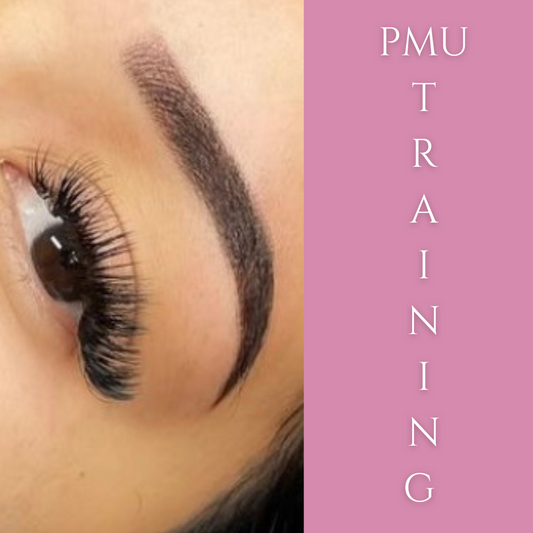 PMU BROW TRAINING